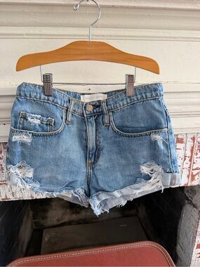 Nobody Denim shorts